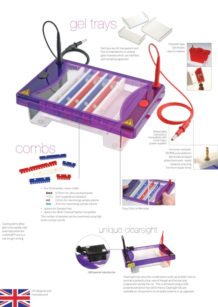 Horizontal Gel Electrophoresis multiSUB Midi, Midi