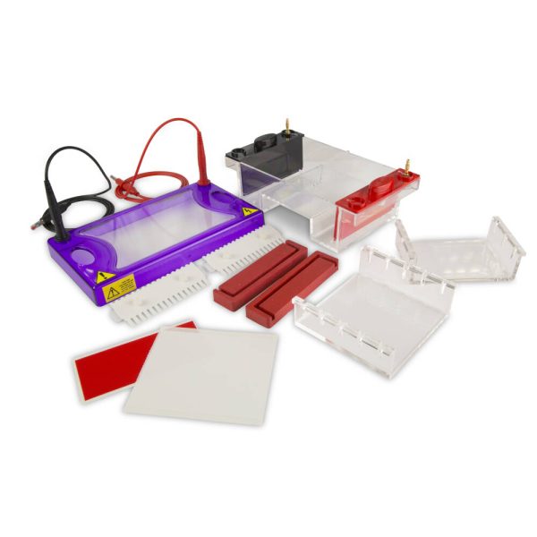 Horizontal Gel Electrophoresis multiSUB Midi, Midi