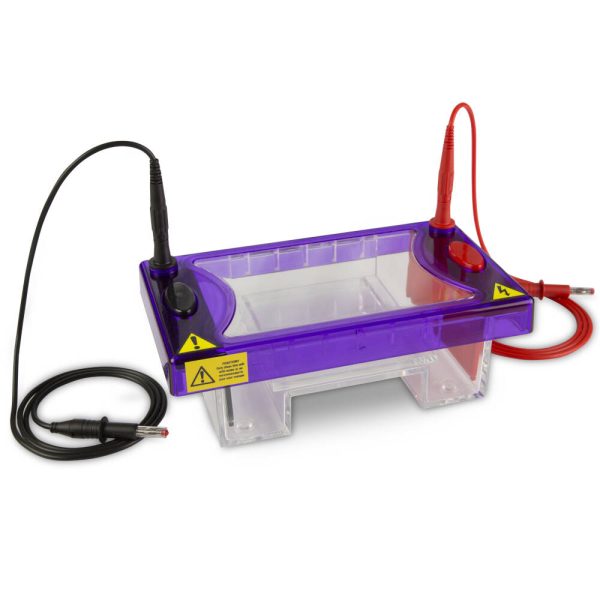 Horizontal Gel Electrophoresis multiSUB Midi, Midi