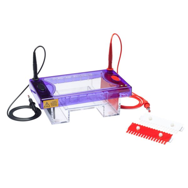 Horizontal Gel Electrophoresis multiSUB Midi, Midi