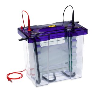 Vertical Gel Electrophoresis OmniPAGE WAVE Maxi