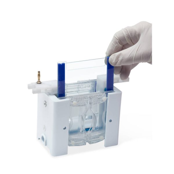 omniPAGE Mini Gel Electrophoresis System