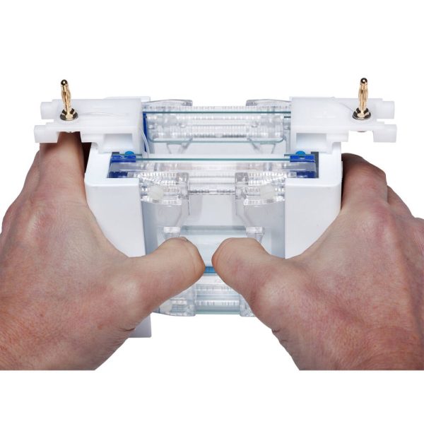 omniPAGE Mini Gel Electrophoresis System