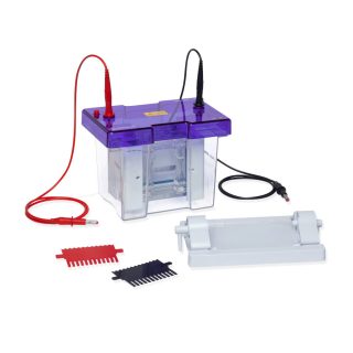 omniPAGE Mini Gel Electrophoresis System